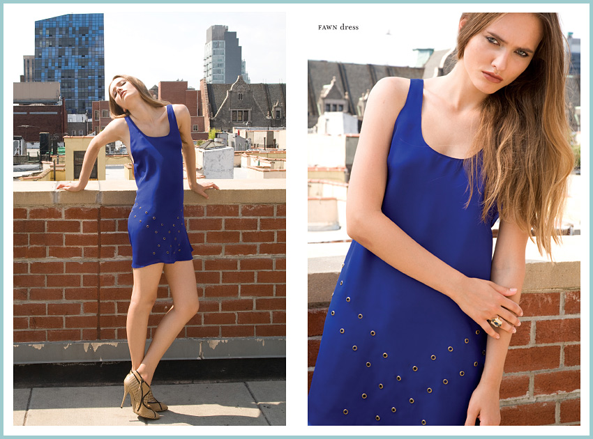 Kate Linstrom FAWN dress